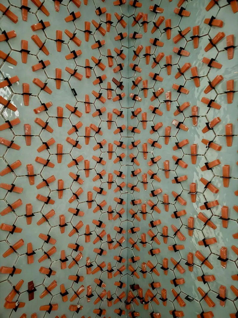 Expert Flooring Installation